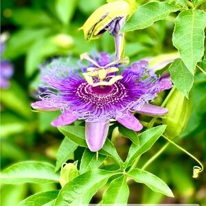 Meet your Posher, ShellyB